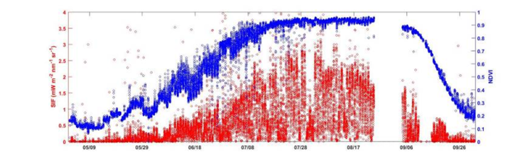 Thumbnail of Testing