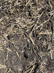 Thumbnail of Kaiyu's Group